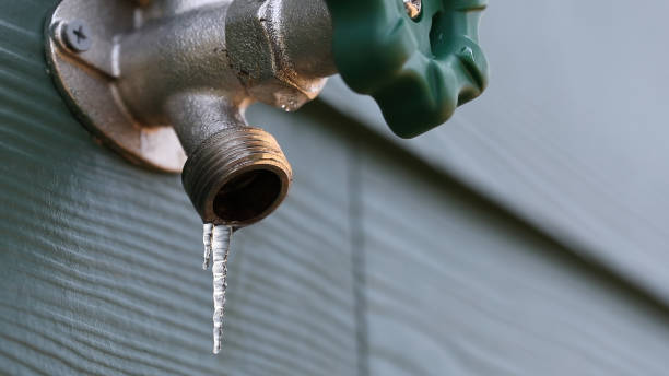 Best Local Plumber Services  in Kings Beach, CA